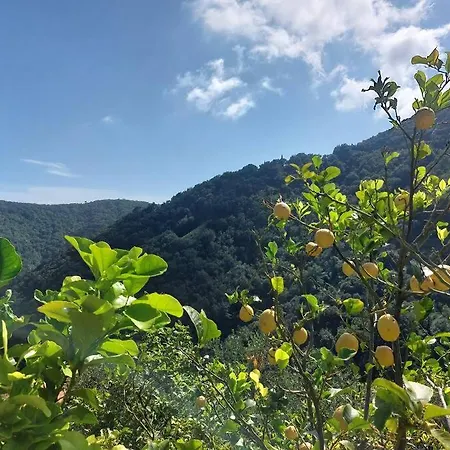 In Campagna, Un Passo Dal Mare, Portofino, 5 Terre 빌라